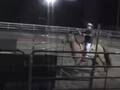 Cattle Sorting Acton CA BK Diaz and Chaka
