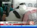 ???????