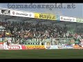 Ried - Rapid Wien , 26.04.2008
