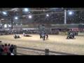 Cavalcade (Equita'lyon 08)