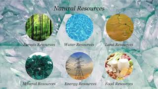 Mineral Resources