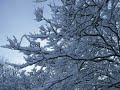 Walking in a winter wonderland