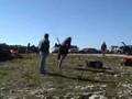 Parapente