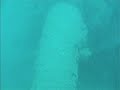 immersione effettuata con cilento sub, www.cilentosub.com, carro armato affondato durante lo sbarco della II° guerra mondiale
