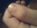 Grasshoper fingerboards
