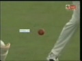Beast wicket