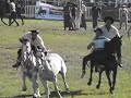 Semana Criolla