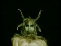 ironmaiden - 666 the number of the beast ironmaiden - 666 the number of the beast