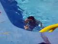 Ikaika swimming again