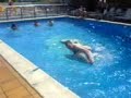 a-shark-attacks-naked-strog.html