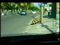 antes de que se enfrie1.mp4