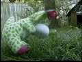 Fight of the dinosaur part 1