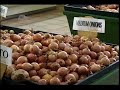 St. Lucia Faces A Food Crisis