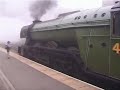 Day Tripping on the Flying Scotsman.