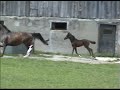 Sonny and mom...