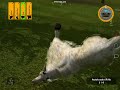 DHT - Mountain Goat clean shot - cabrito DHT - Mountain Goat clean shot - cabrito