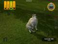 videos de DHT - Mountain Goat clean shot - cabrito