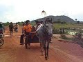 Tout le ranch est de sortie, on prend 2 charettes et on file jusqu'a la 