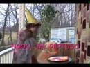Pepto Bismol Star Contest