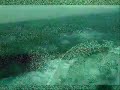 Heavy seas compilation Heavy seas compilation