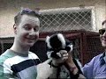 Jazz Pistols in the zoo of Antananarivo