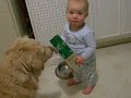 feeding molly