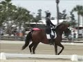 Courtney King & Idocus - Grand Prix Freestyle Courtney King & Idocus - Grand Prix Freestyle