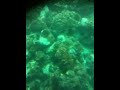 福江・グラスボート2