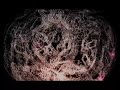 1200 Micrograms - Language of the Future - Music Video