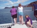 Dolphin Snorkel Cruise