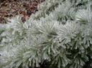 Nature\ Nature\