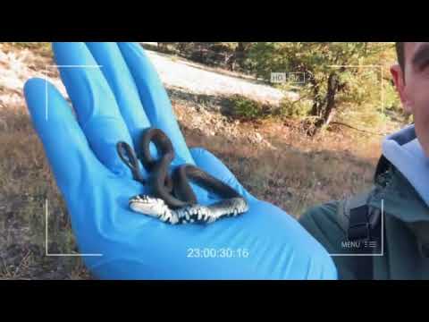 Зона отчуждения. Выжить в Чернобыле