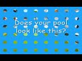 Bakersfield Poo