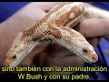 9. El Factor Reptil