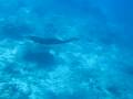 Gili Meno
