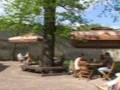 Art Cafe in Rakvere
