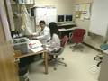 Breakthrough For Flu Research