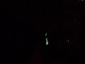 Teatro Mania - Cats 2009 - Rum Tum Tugger (part.2)