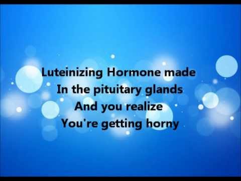 lutenizing hormone - Luteinizing Hormone