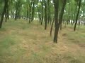 Onboard ATV 110 CC hummer