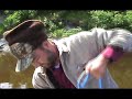 Deshka River King Salmon