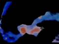 Origins Part Three The Nature of Consciousness