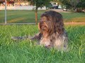 Kassilia und Jessy in Umag 2008