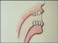 Where Belly Button Lint Comes From Where Belly Button Lint Comes From