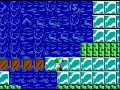 Rescue Rover nivel 29