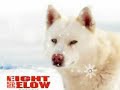 Eight Below - One More Day with Old Jack Eight Below - One More Day with Old Jack