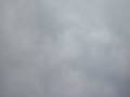 videos de mandeep