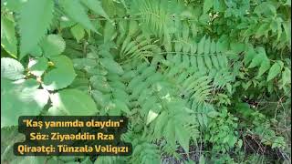 Ziyaəddin Rza-Kaş yanımda olaydın
