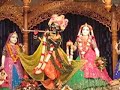 Morning darshan of Radha-Madhava (offering mirrow and sent) Morning darshan of Radha-Madhava (offering mirrow and sent)