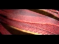 Hollywood Movie Title Series_ Man of Steel - YouTube